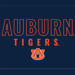 Auburn University Tigers Outline Nintendo 2DS XL (2017) Skin